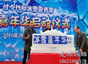 2016年浙江安吉国际冰雕展